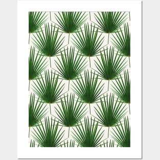 Simple Palm Leaf Geometry Posters and Art